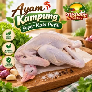 dispanafarm-ayam-kampung-super-kaki-putih